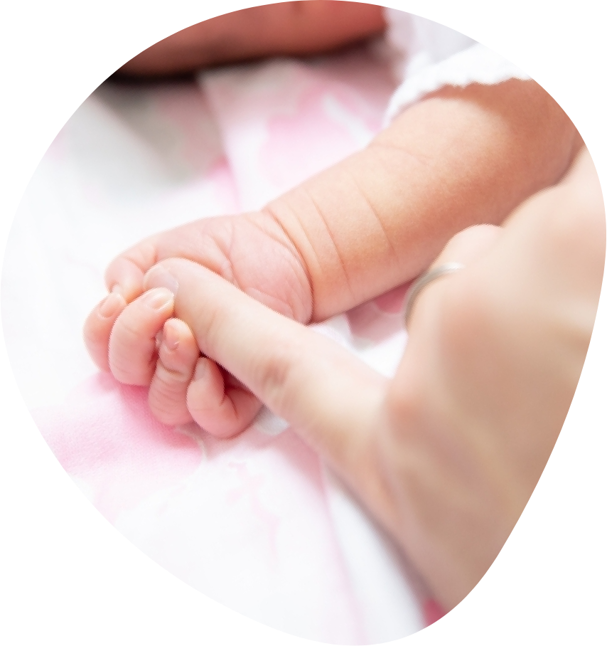 母親の指を握る赤ちゃんの手